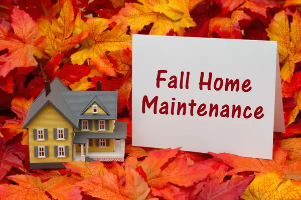 Fall Clean Up & Maintenance,Ana Bastas