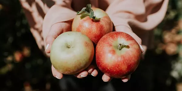 Our Top 8 Apple Orchards to Visit this Fall in the GTA,Ana Bastas