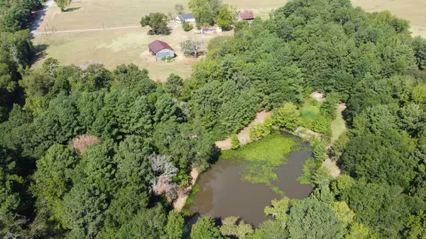 aerial view of pond and timber on ranch for sale near arp texas