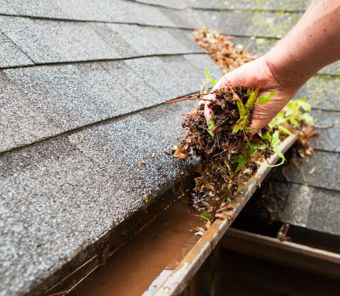 7 Tips For Maximum Autumn Curb Appeal Tim Riordan The Tim Riord 6275