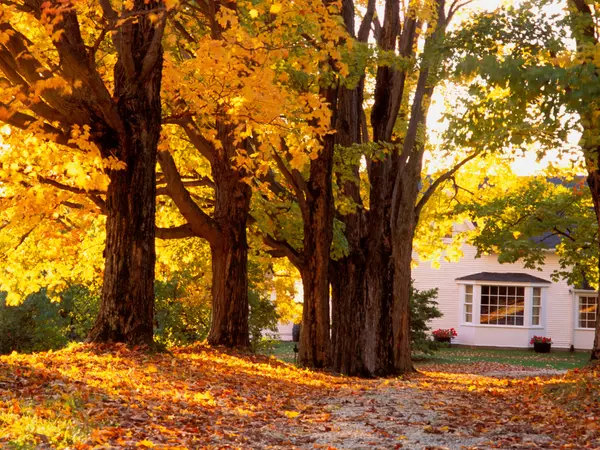 Why Fall 2023 is the Worst Time to Find Your Colorado Dream Home,The Brokerage Group