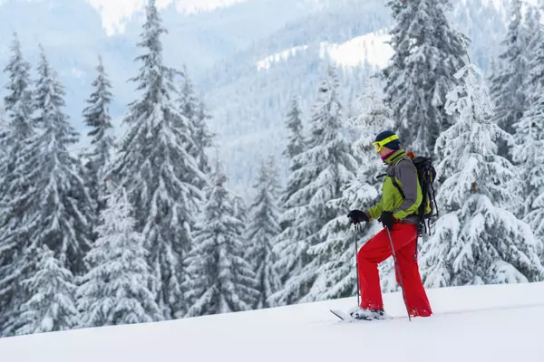 Surviving the Cold Winters in Montana ,Dawn Maddux