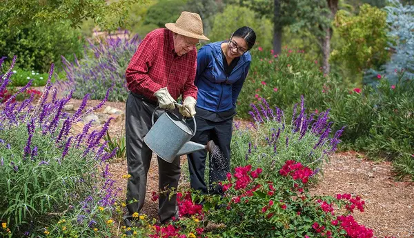 Assisted Living Richmond VA and Benefits of Gardening for the Elderly,Rebecca D'Angelo