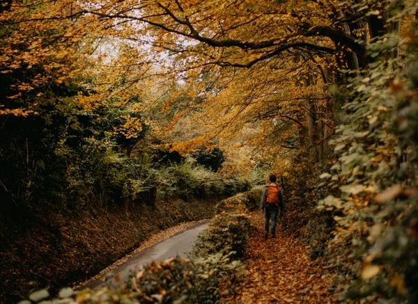 Best Hikes for Fall Foliage,Lysi Bishop Real Estate