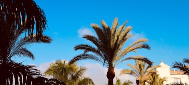 Sunny weather with a clear sky