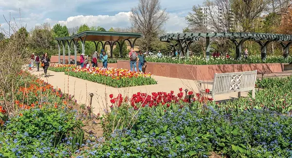 Denver's Green Movement: Eco-Friendly Living in the Mile-High City,Lewi & Mackenzie Gault