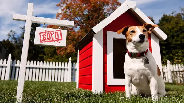 The Impact of Pets on Home Sales