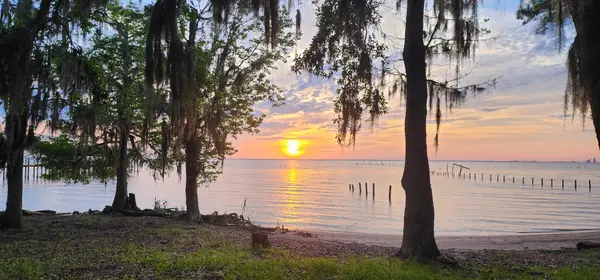 Experience the Magic of Daphne's Jubilee: Limits-,Jessyka Thompson