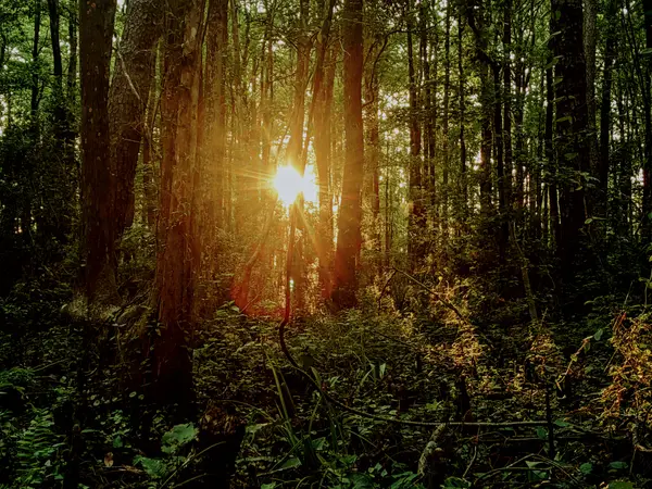 Golf Course Living at Its Finest: TimberCreek,Jessyka Thompson