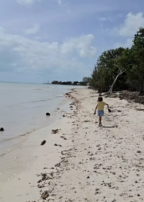 Discover Coco Plum Beach: A Hidden Gem in Marathon, FL,Kelly Willey