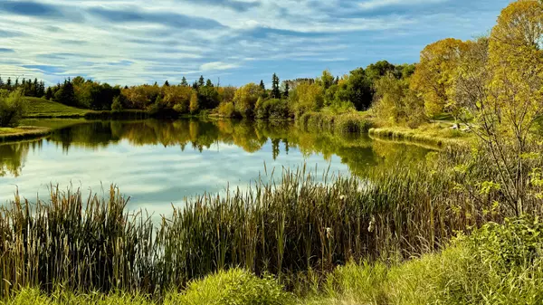 Why Fall is a Great Time to Buy a Home,Park Realty