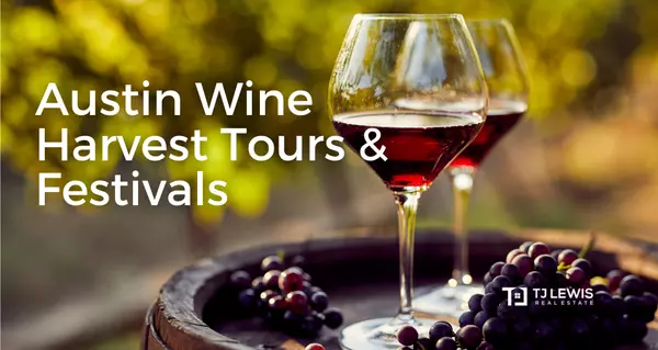 Austin Wine Tours and Events,TJ Lewis Real Estate