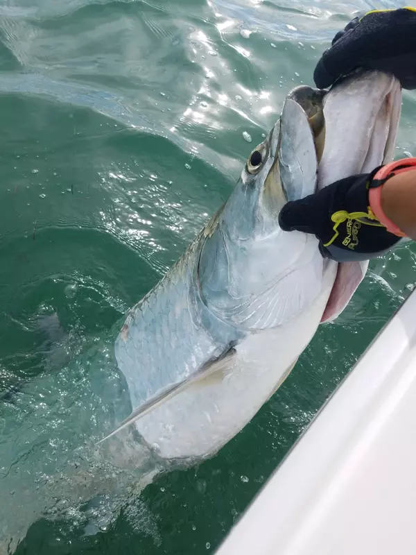 Fishing the Florida Bay ~ Marathon, Florida,Kelly Willey