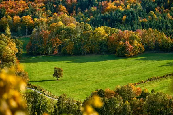 Exploring the Fall Colors of the Smoky Mountains: A Colorful Adventure Awaits!,Ken Herod