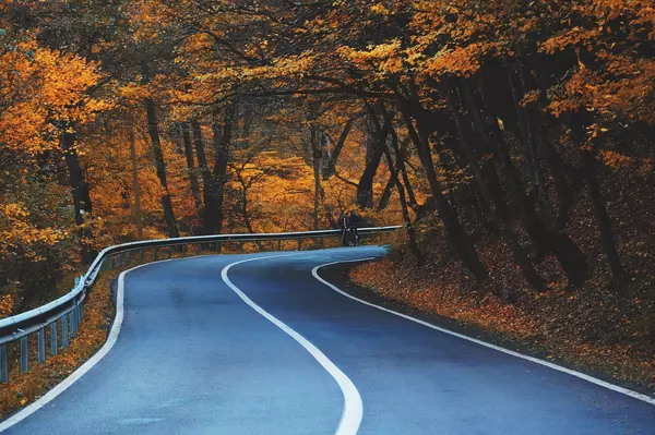 A Scenic Drive Through the Smoky Mountains: Embracing the Fall Foliage,Ken Herod