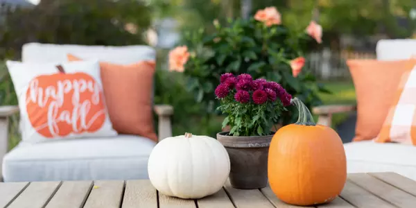 9 Interior Design Tips for a Cozy Fall Vibe,Scott Zielinski