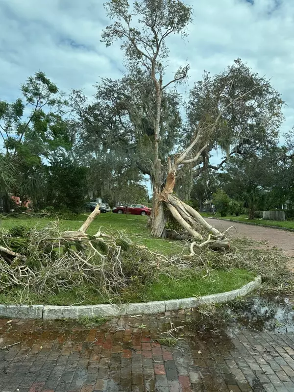 feature image of Post-Flood Recovery Guidance