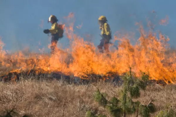 Wildfire Preparedness: How FortressFire Helps California Homeowners Reduce Risks and Protect Their Properties