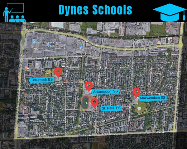 Dynes Neighbourhood Schools