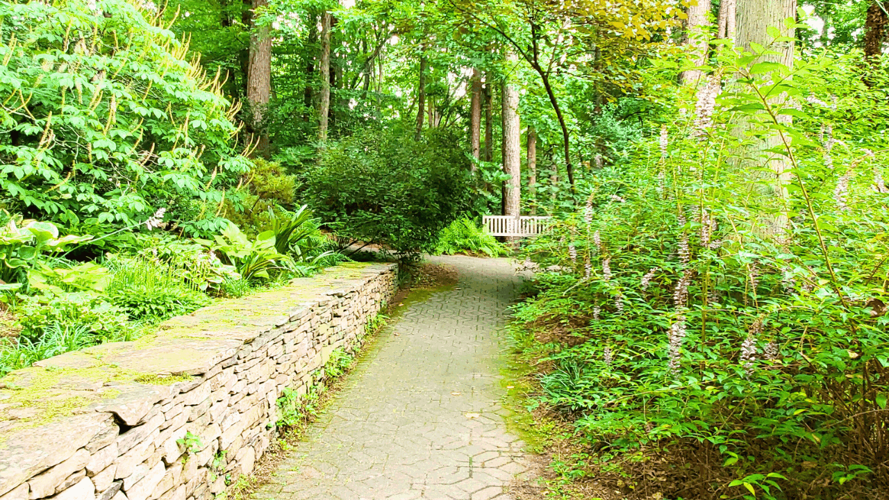 South Carolina Botanical Garden