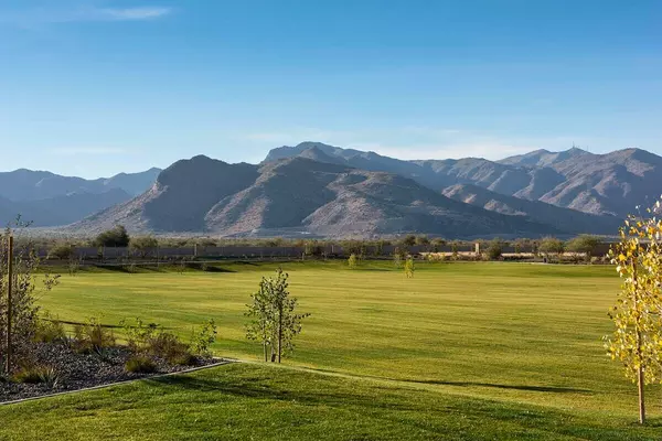 feature image of Luxury New Construction in Waddell, AZ: Explore this 4-Bedroom David Weekley Home in Sentiero at Windrose