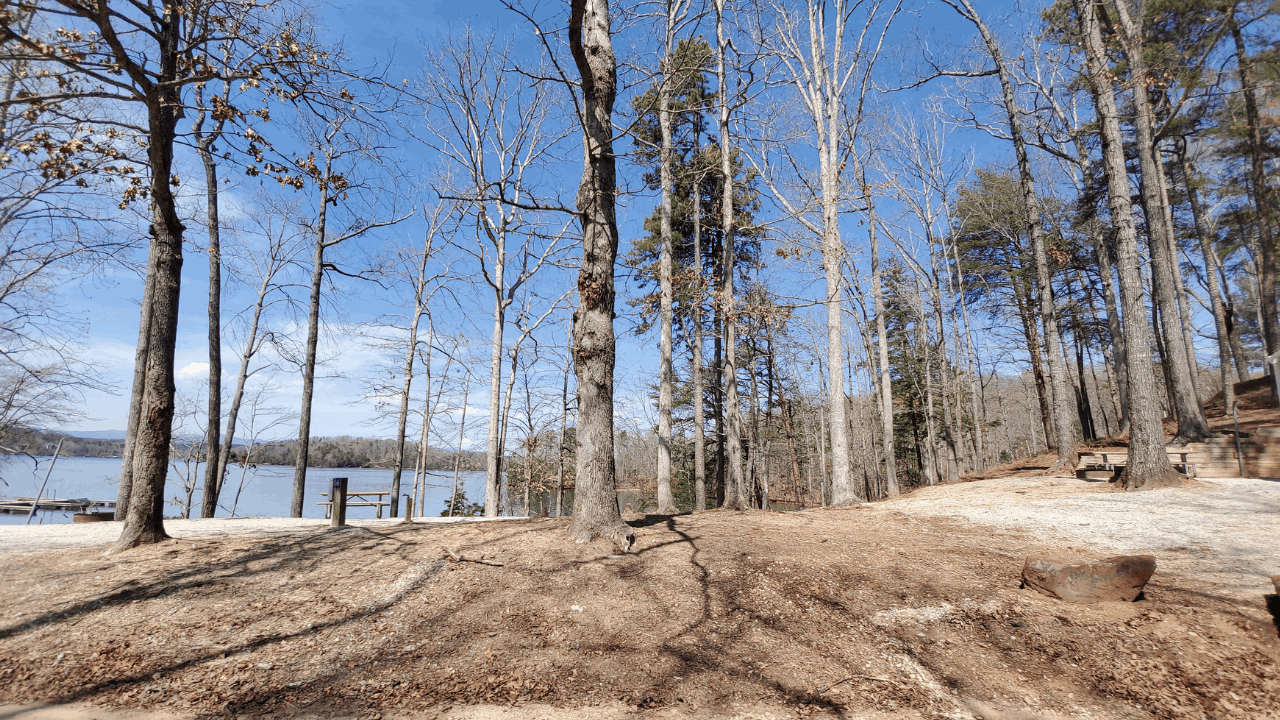 Lake Hartwell South Carolina