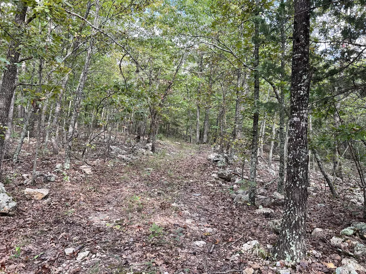 Land for Sale in Fulton County2