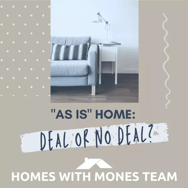 "As Is" Home - Deal or No Deal?,Lorin Mones