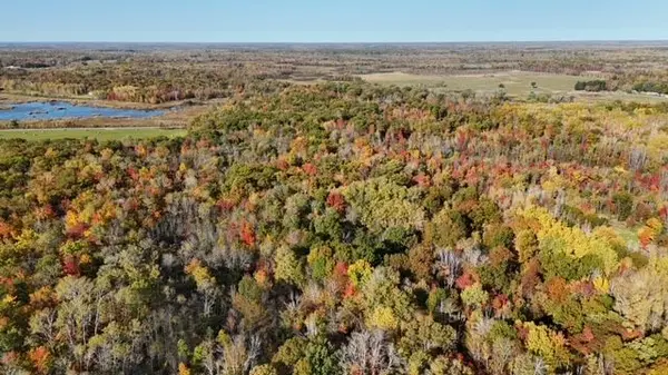 Brook Park Hunting Acreage For Sale,Chuck Carstensen