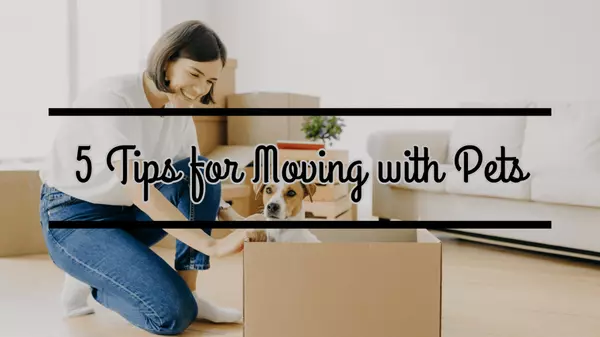 5 Tips for Moving with Pets,Bold City Realty Group