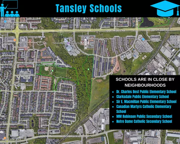 Tansley Woods Schools