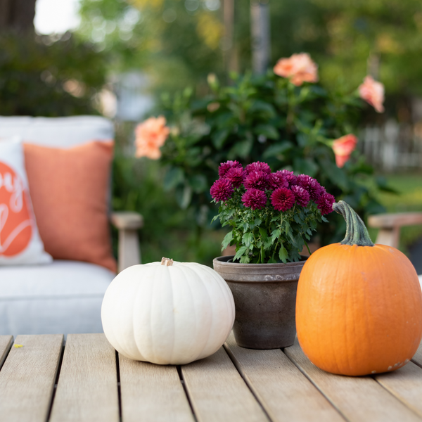 Five Fall Curb Appeal Ideas to Attract Buyers