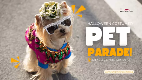 City Center Costumed Pet Parade: Strut Your Pup's Stuff!