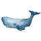 Sperm Whale Favicon