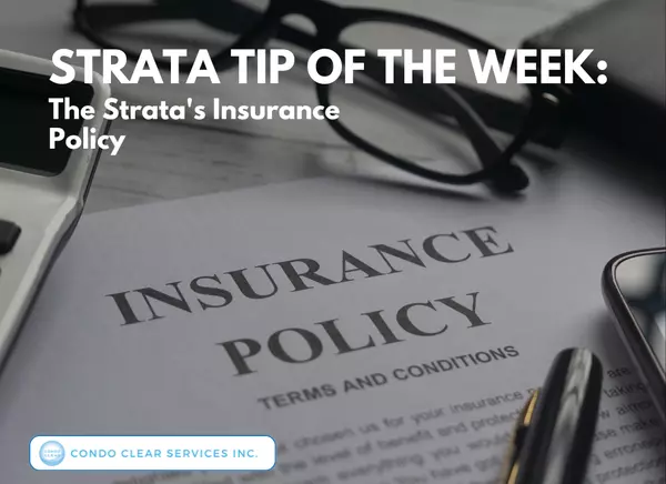 feature image of Strata Tip of the Week - The Strata&#39;s Insurance Policy