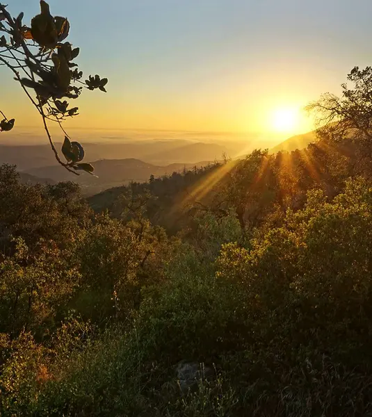 Fallbrook