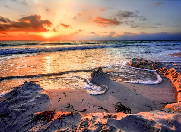 Galveston, Texas: Coastal Living with History, Charm, and Vibrant Culture,Alaina Segovia