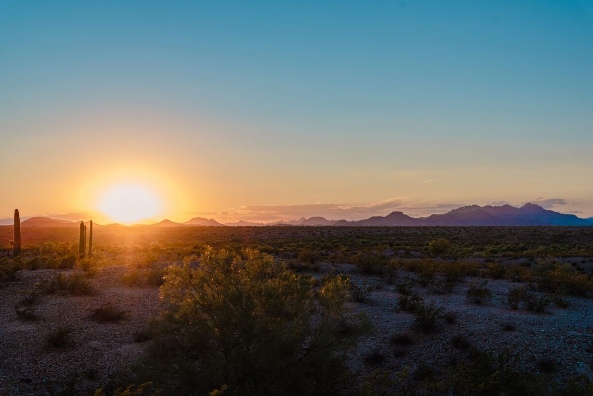 This image captures a breathtaking sunset over the desert landscape in Arizona, with the White Tank Mountains visible in the distance. The vibrant, golden hues of the setting sun illuminate the sparse desert vegetation, including iconic saguaro cacti. The sky transitions from deep blue to soft oranges and pinks, creating a serene and picturesque view typical of Arizona's natural beauty. The peaceful desert scene, combined with the rugged mountain range in the background, highlights the region's distinctive charm.