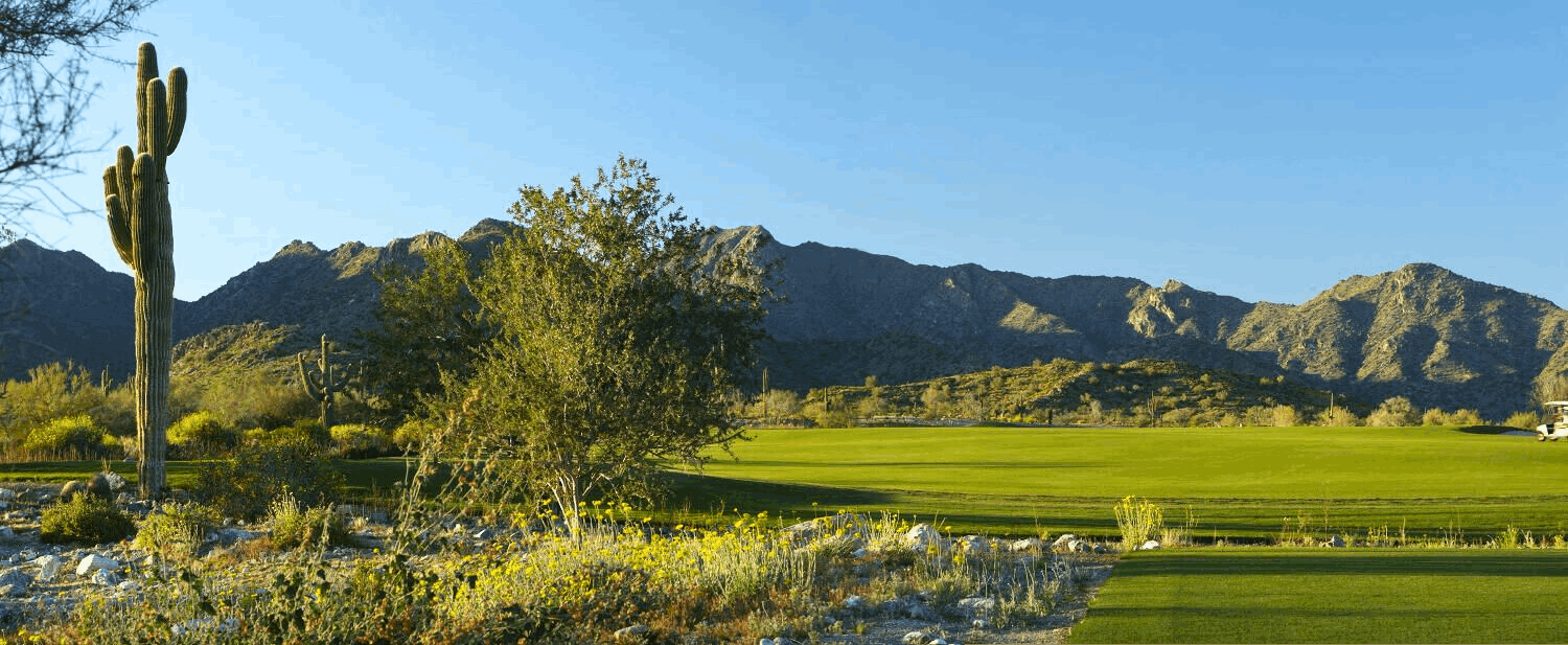 View of Verrado in Buckeye, AZ, showcasing a desert landscape with vibrant greenery and a large Saguaro cactus in the foreground. The scene includes a well-maintained golf course set against a backdrop of rugged mountain terrain under a clear blue sky.