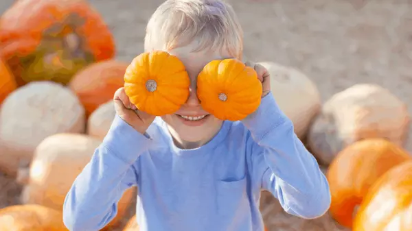 feature image of Pumpkin Patch Paradise: Omaha&#39;s Top Spots Revealed!