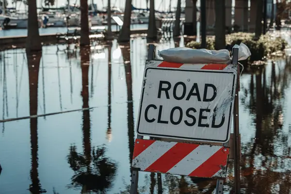 Homeowner's Guide: Preparing for Hurricanes with Confidence,Tara Bittl
