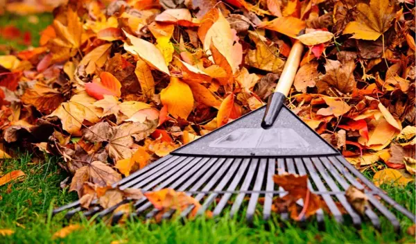 Fall Renovations to Boost Your Home’s Value,Emma Romney