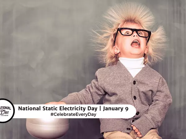 Happy National Static Electricity Day Kelly Burris Realty Exec 3061