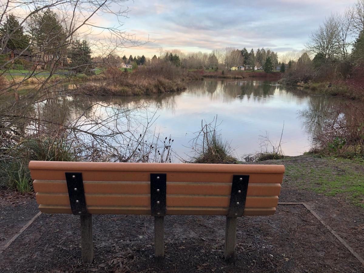 Summer Lake Park