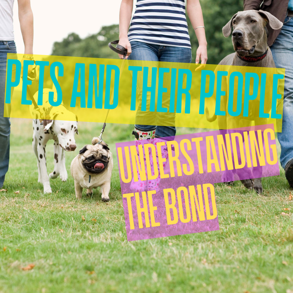 feature image of Pets and Their People: Understanding the Bond