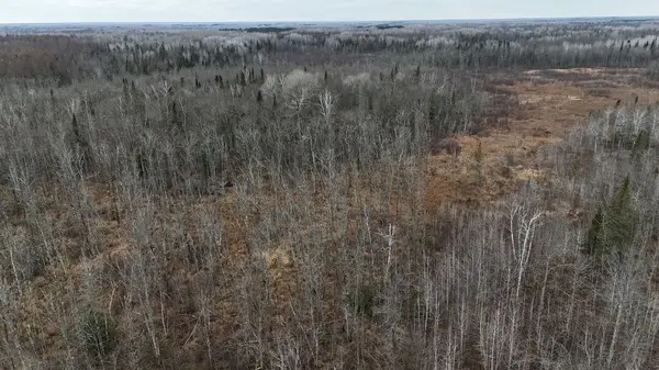 20 Acres Recreational Land in Kettle River,Chuck Carstensen