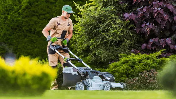 Keep Your Lawn Lush: Maintenance Tips for Every Season,Melanie Gundersheim