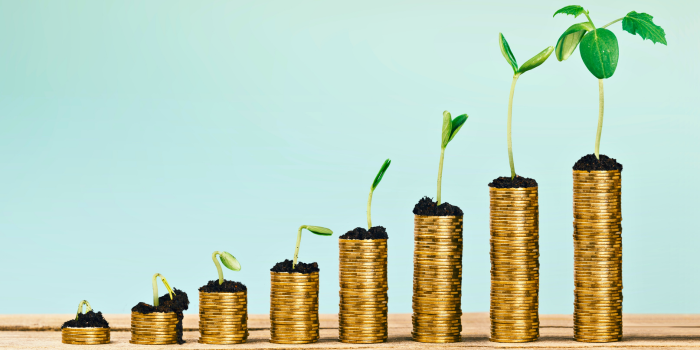 Stacked coins with growing plants symbolizing wealth-building through investment, illustrating how a 3-2-1 buydown strategy enables homebuyers to grow their savings into financial assets over time.