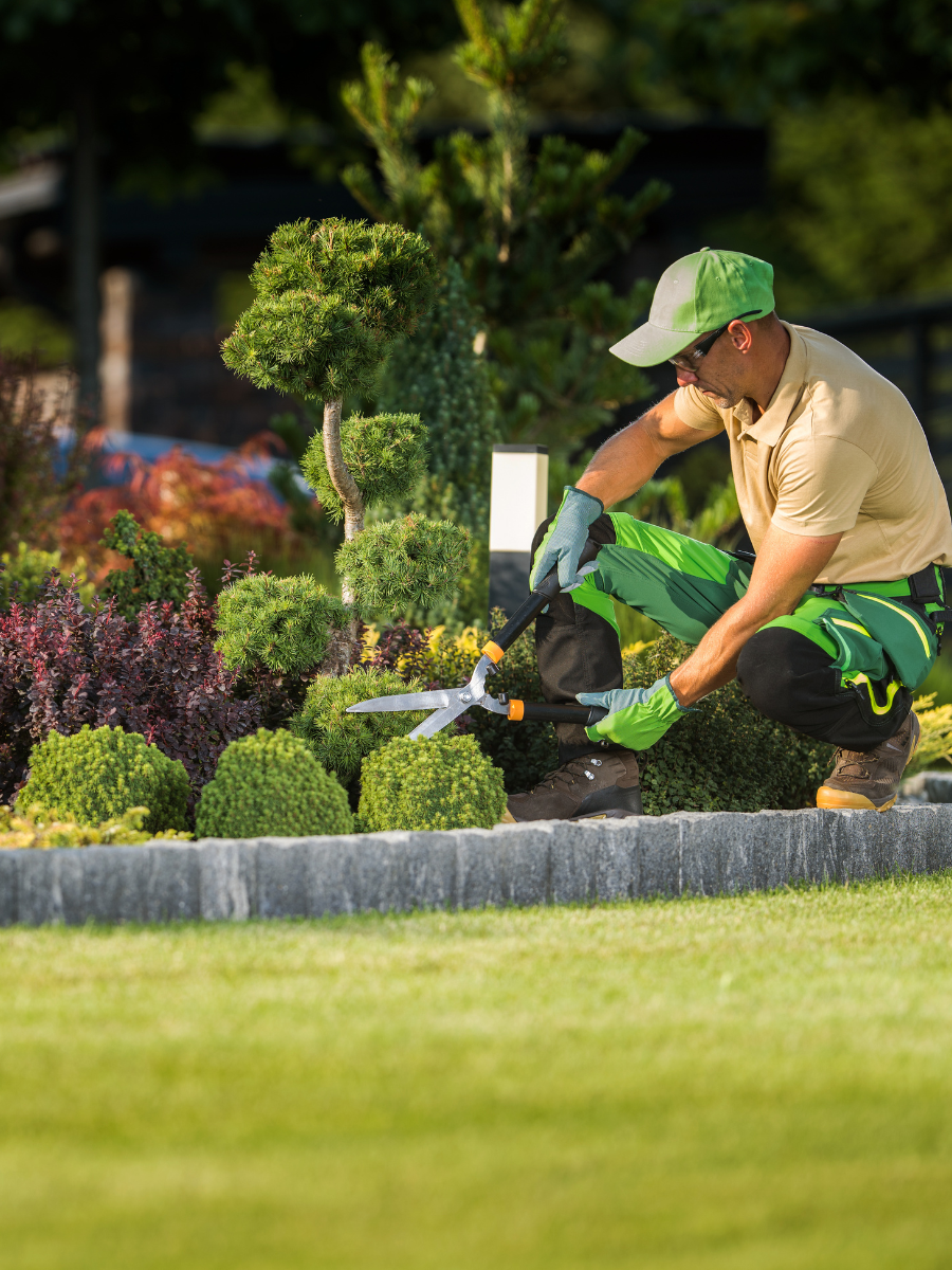 high maintenance landscaping