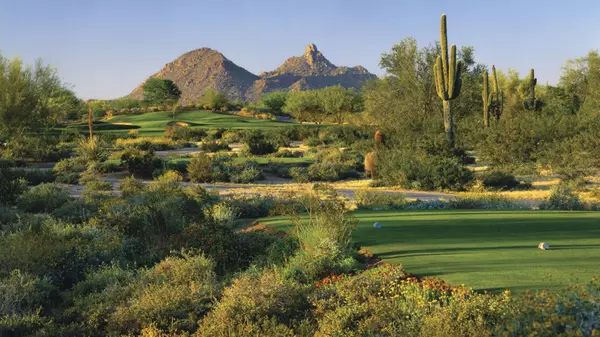 The Best Public Golf Courses to Play in Arizona